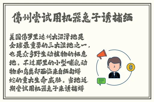 亚洲午夜精品无码专区在线观看w